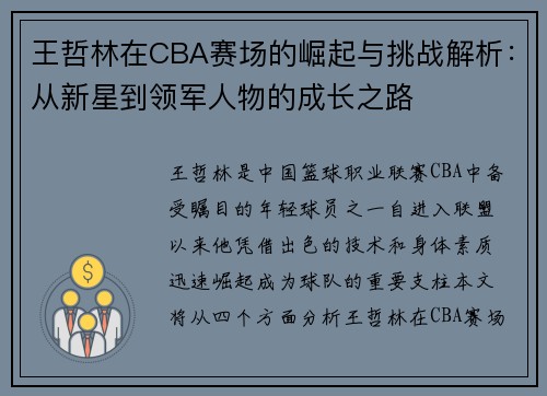 王哲林在CBA赛场的崛起与挑战解析：从新星到领军人物的成长之路